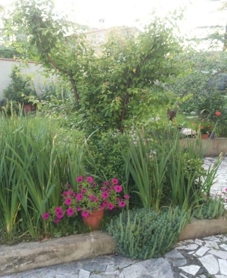 La Terrazza Del Silenzio Apartment Fattoria Spedaletto Bagian luar foto